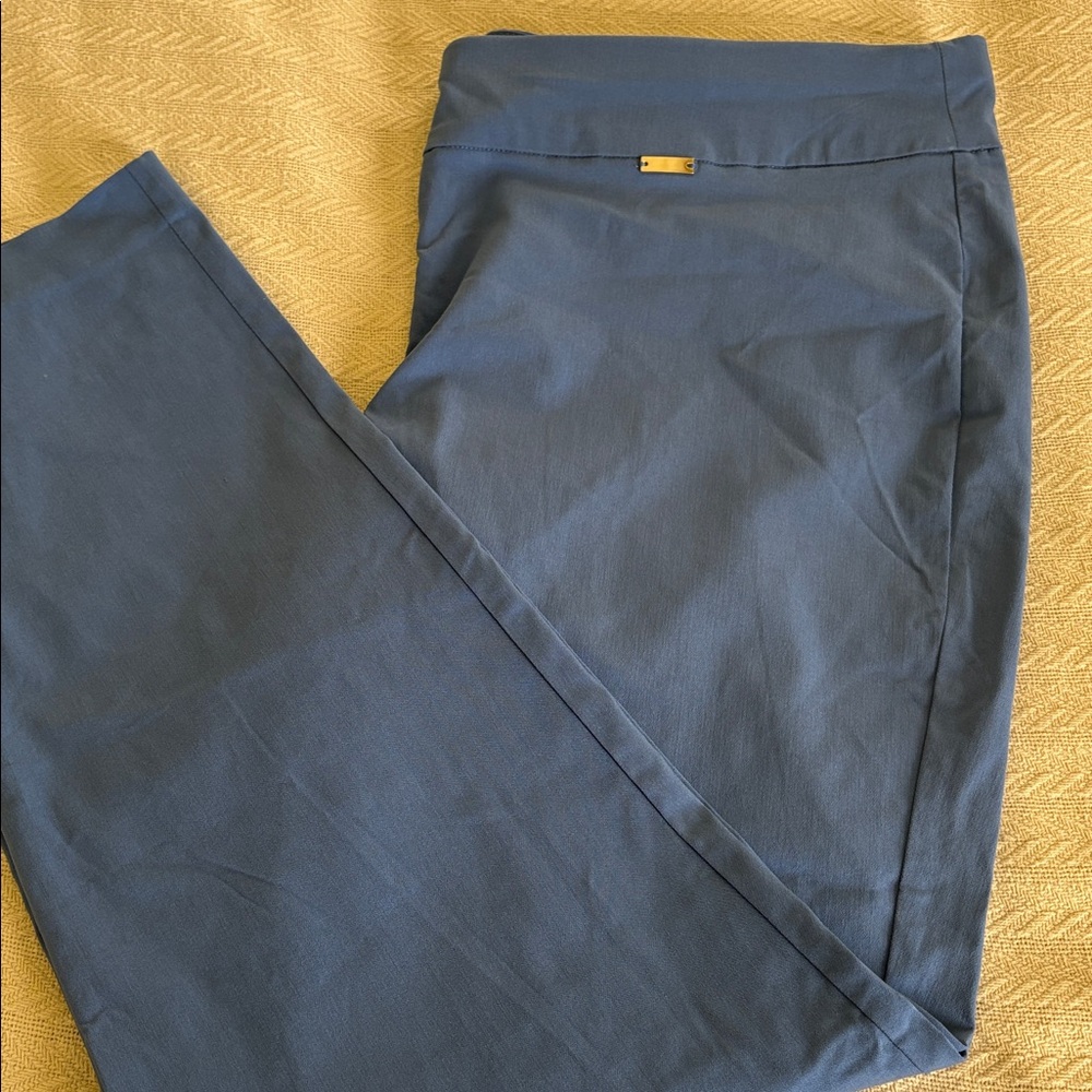 NWT 20W INC International Concepts skinny table Light Blue pants mid rise